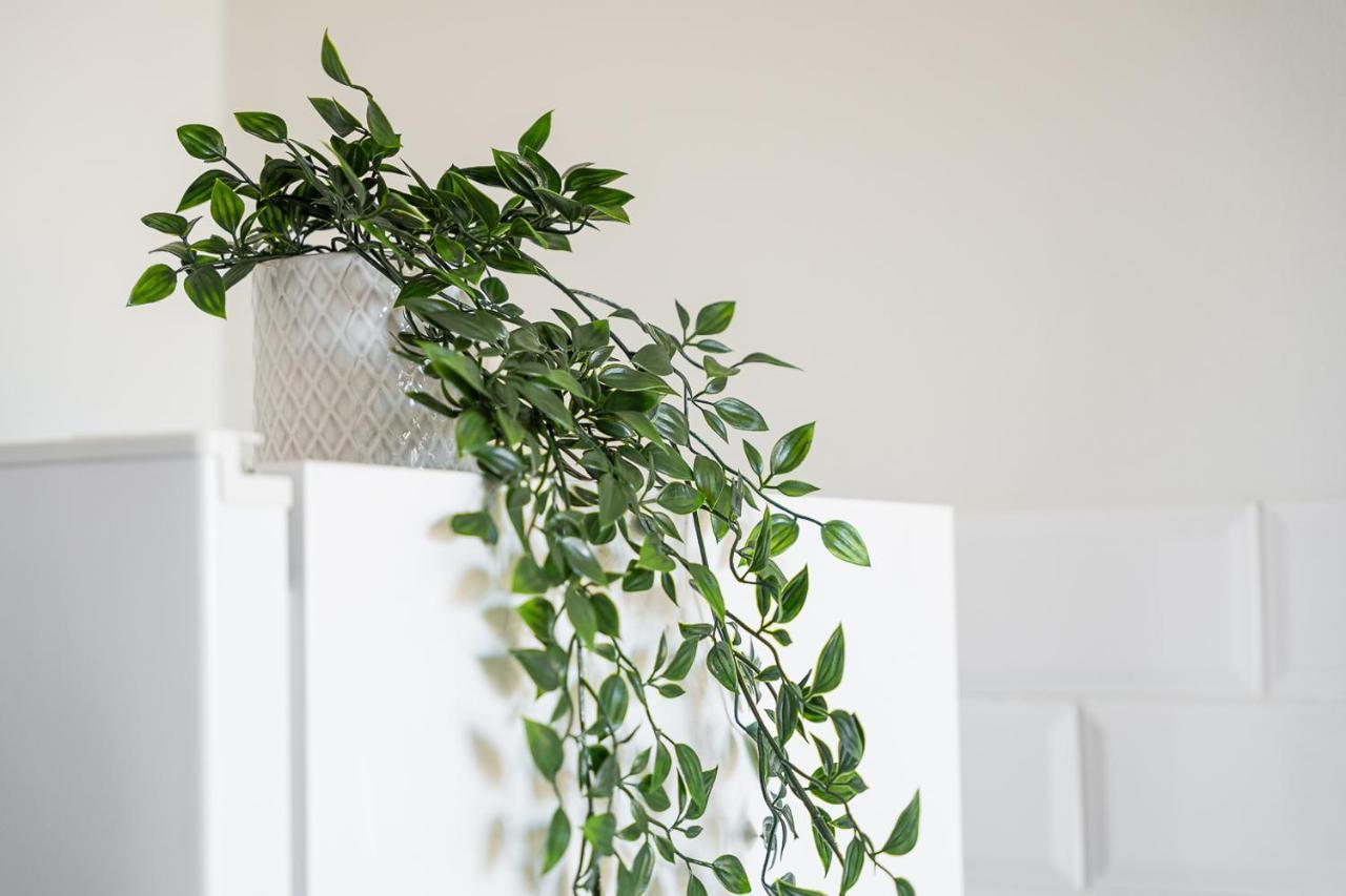 Catarina'S Little Corner By Lovelystay OOporto Exteriör bild